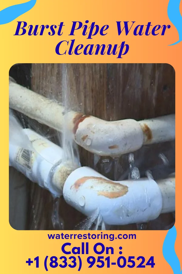 Burst Pipe Water Cleanup in Union, WV