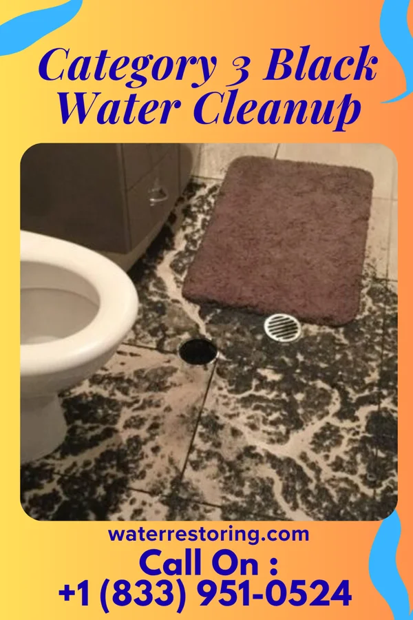 Category 3 Black Water Cleanup in Union, WV