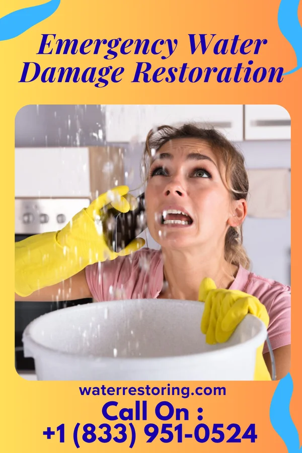 Emergency Water Damage Restoration in Union, WV
