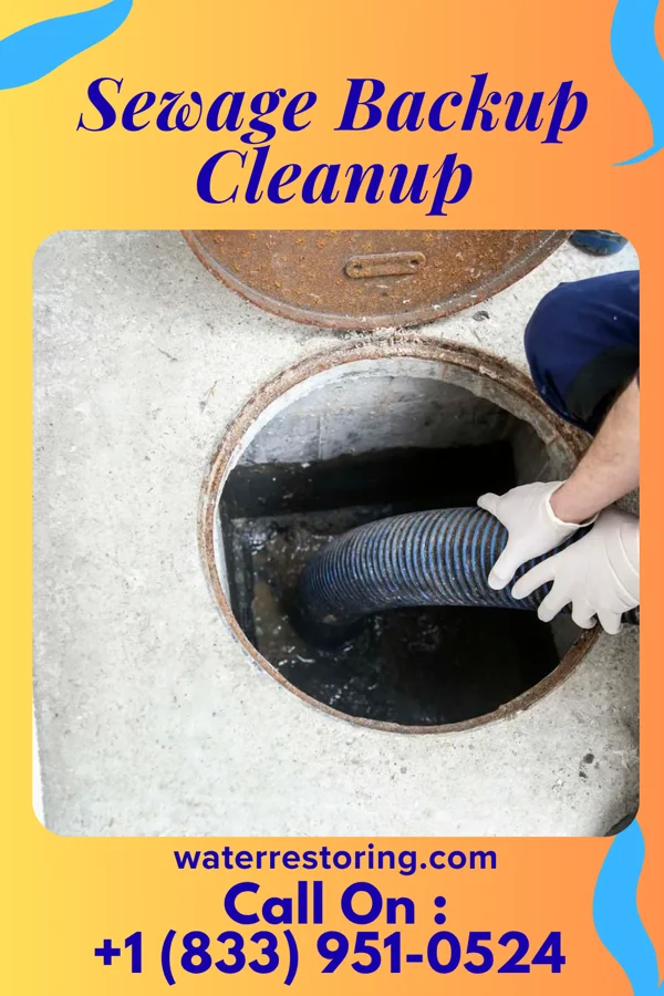 Sewage Backup Cleanup in Union, WV