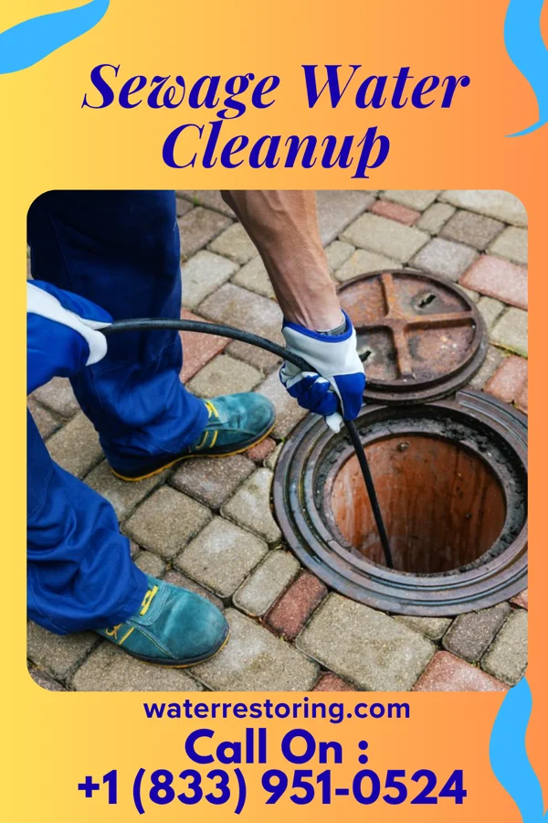 Sewage Water Cleanup in Union, WV
